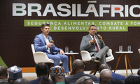 Representantes de países africanos participam de reunião no Mapa para conhecer atuação das secretarias do Ministério